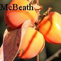 KayMcBeath